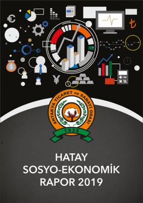 Hatay Sosyo-Ekonomik Rapor 2019