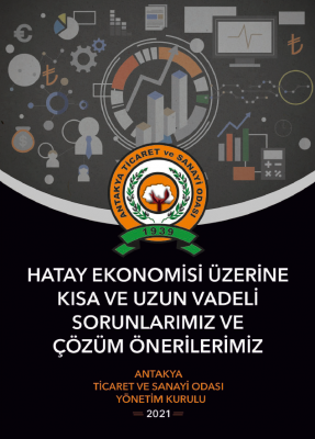  Hatay'ın Ekonomisi Üzerine Kısa ve Uzun Vadeli Sorunlarımız ve Çözüm Önerilerimiz 2021