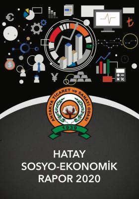 EKONOMİK RAPOR 2020
