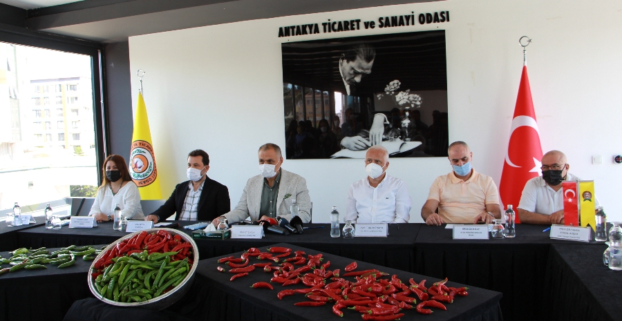 "SAMANDAĞ BİBERİ"NİN COĞRAFİ İŞARETİ ODAMIZ ADINA TESCİL EDİLDİ