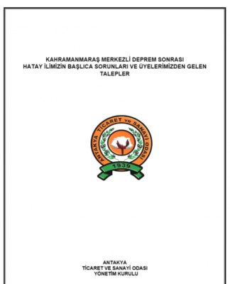 DEPREM SONRASI BAŞLICA SORUNLAR VE TALEPLER 2024